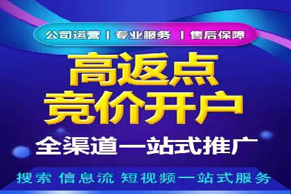 行业领先企业如何通过信息流广告实现转化——案例分析